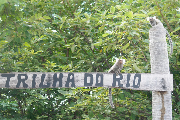 Trilha do Rio